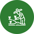 Pilot Climate Smart Agriculture (CSA) Projects with Data Support: